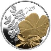 Moneda de plata 50 Centavos Canada 2005 Flor Rosa Dorada.
