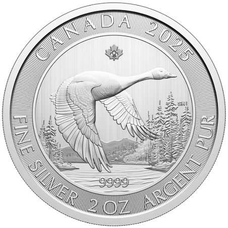 Moneda 2 onzas de plata 10$ Canada Ganso 2025.