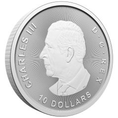 Moneda 2 onzas de plata 10$ Canada Ganso 2025.