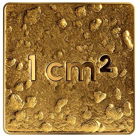 Moneda de oro Letonia 10€ 2025 Nuestra Tierra.  - 2