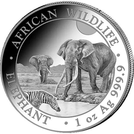 Moneda onza de plata 100 Shillings Somalia Elefante 2026  - 1
