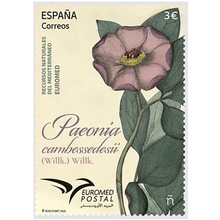 5847 Recursos Naturales del Mediterráneo. Paeonia cambessedesii.  - 1