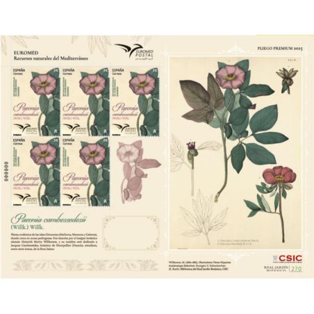 Pliego Premium año 2025 nº 171 Euromed.  - 1