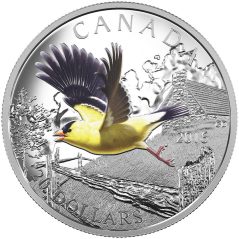 Moneda de plata 20$ Canadá 2016 Jilguero Americano.  - 1