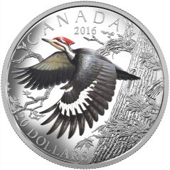 Moneda de plata 20$ Canadá 2016 Pájaro Carpintero.  - 1