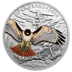 Moneda de plata 20$ Canadá 2016 Halcón de cola roja Real.  - 1