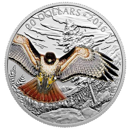 Moneda de plata 20$ Canadá 2016 Halcón de cola roja Real.  - 1