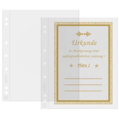 LEUCHTTURM NUMIS 10 hojas transparentes con 1 departamentos.  - 1