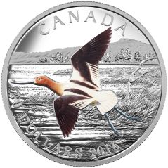 Moneda Onza de plata Canada 20$ 2016 Avoceta Americana.  - 1