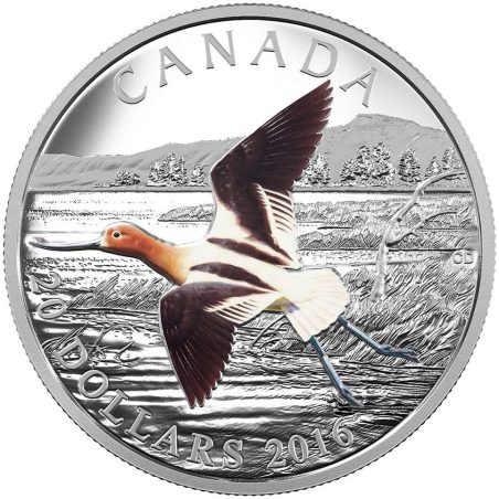 Moneda Onza de plata Canada 20$ 2016 Avoceta Americana.  - 1