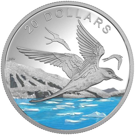 Moneda Onza de plata Canada 20$ 2017 Charrán Ártico .  - 1