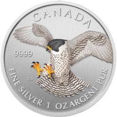 Moneda onza de plata 20$ Canadá 2015 Halcón Peregrino. Color  - 1