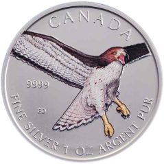 Moneda onza de plata 5$ Canadá 2015 Halcón Colirrojo. Color  - 1